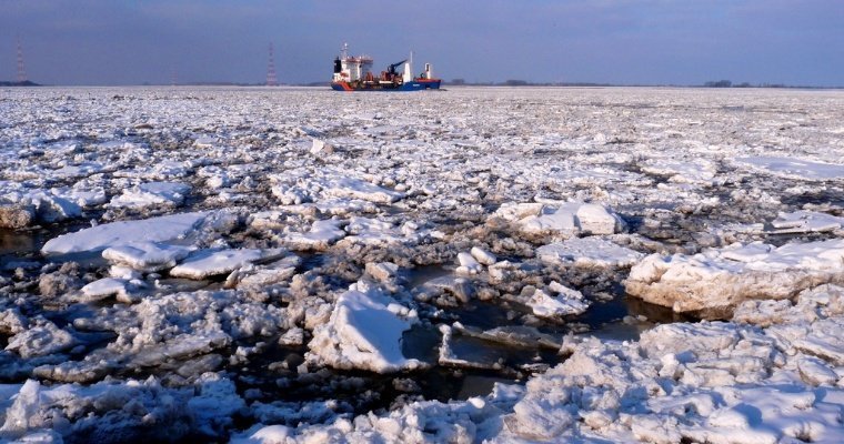 Мир может не признать новые границы США в Арктике, заявили в Совфеде