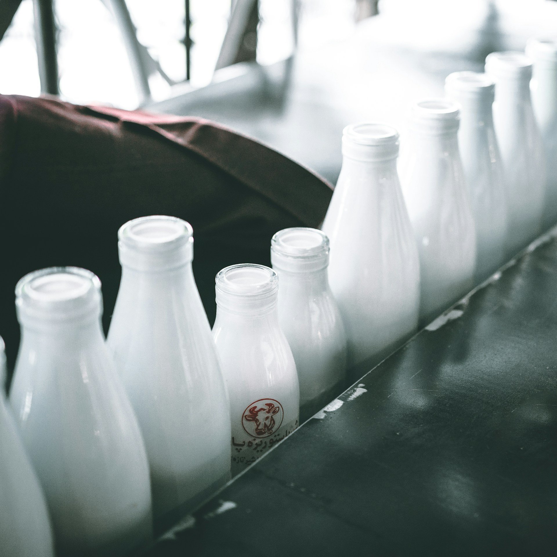 Завод по переработке молока может появиться в особой экономической зоне Ижевска