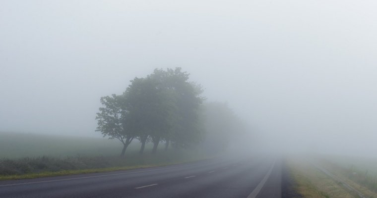Туман ожидается в Удмуртии в ночь на воскресенье 