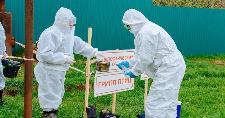 В Ижевске и Глазове обследовали около 600 человек на птичий грипп