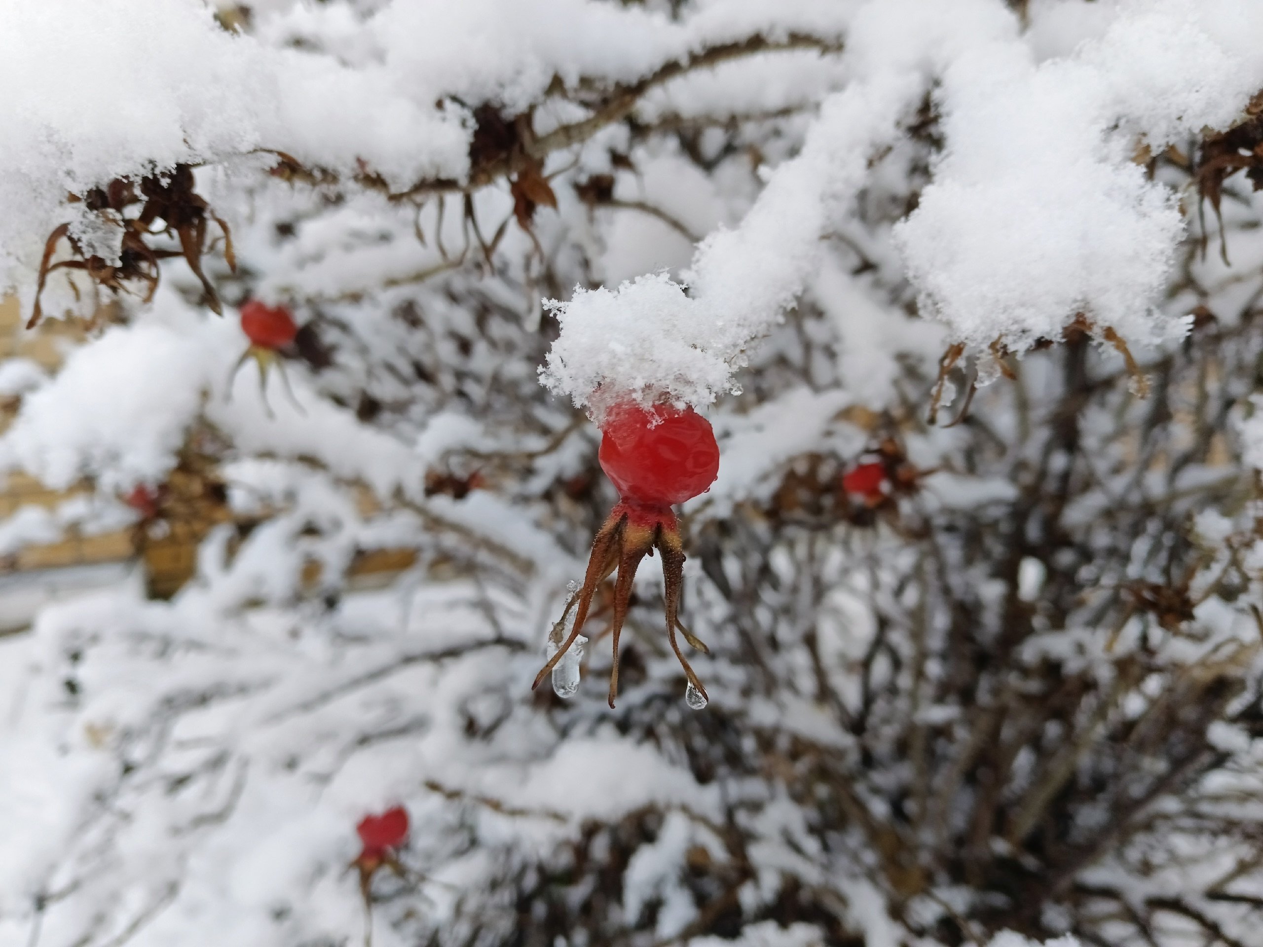 В выходные в Удмуртии снизится интенсивность осадков