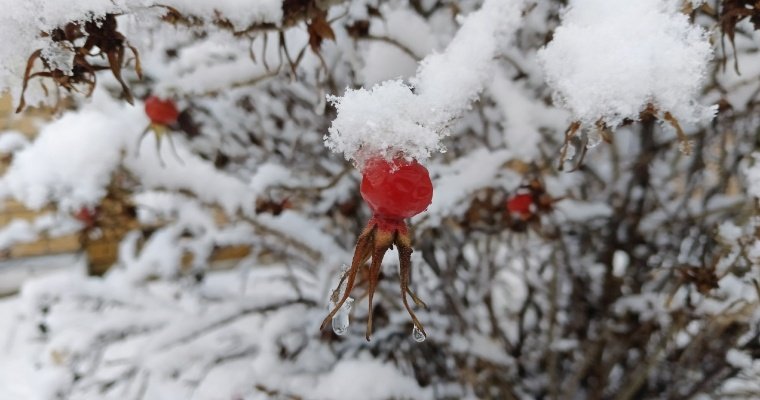Столбик термометра в Удмуртии 9 декабря поднимется до -7 градусов 