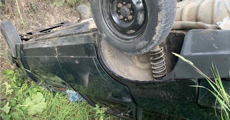 В Удмуртии молодой водитель пострадал в ДТП с лосем