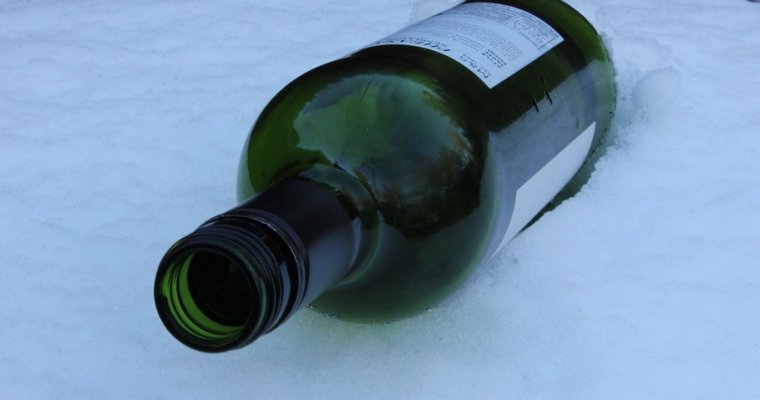Девочке, насмерть замерзшей в новогодние каникулы в Удмуртии, водку купил взрослый мужчина