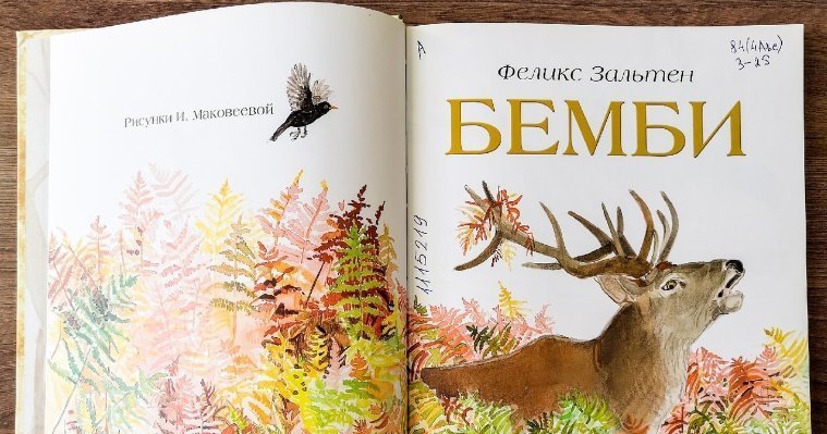 Свыше 500 книг собрала Национальная библиотека Удмуртии для читателей в ДНР и ЛНР