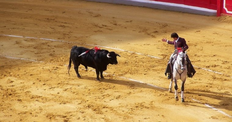 Власти Колумбии запретили бой быков