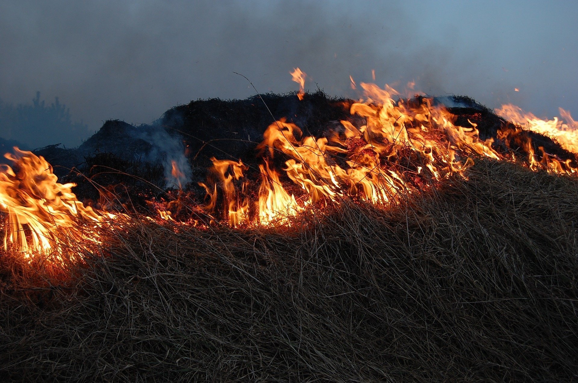 

В Удмуртии произошло более 60 природных пожаров

