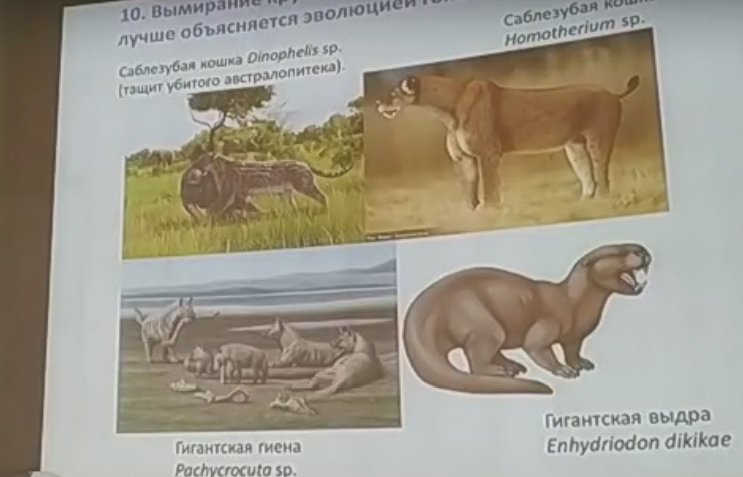 Лекция об открытиях в эволюционной биологии началась в Ижевске