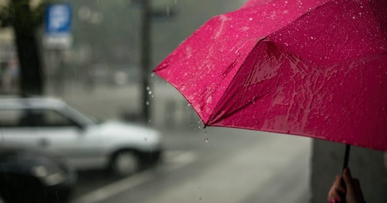 Кратковременные дожди ожидаются в Удмуртии во вторник