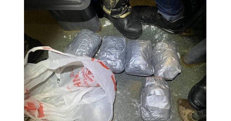 Двое жителей Ижевска задержаны за попытку продажи 30 кг синтетических наркотиков