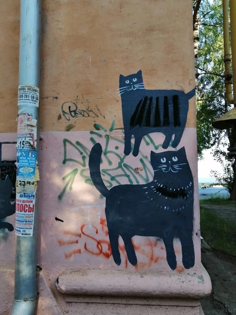 Вместо рекламы наркотиков на фасадах домов Воткинска появились котики 