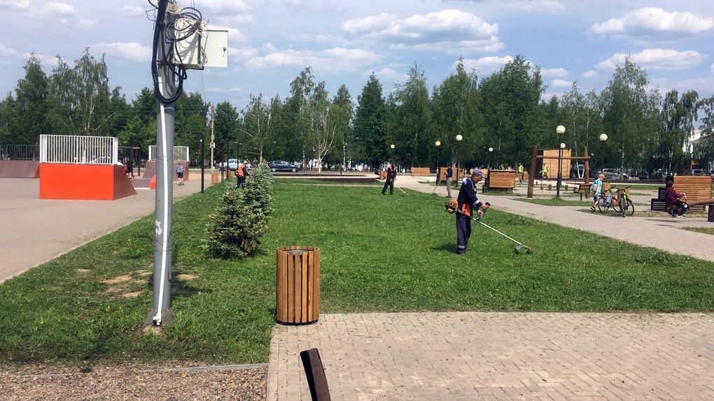 В Можге приступили к покосу травы
