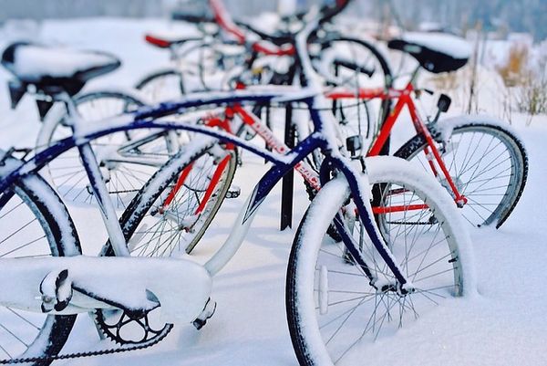 Новости Удмуртии 2.0: зимний велопарад и вырубка леса в природных заказниках