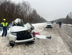 На трассе в Завьяловском районе произошло смертельное ДТП с грузовиком