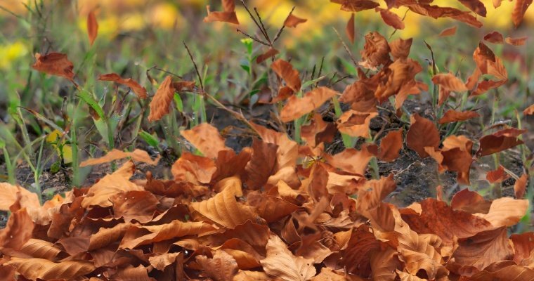 Усиление ветра ожидается в Удмуртии 8 ноября