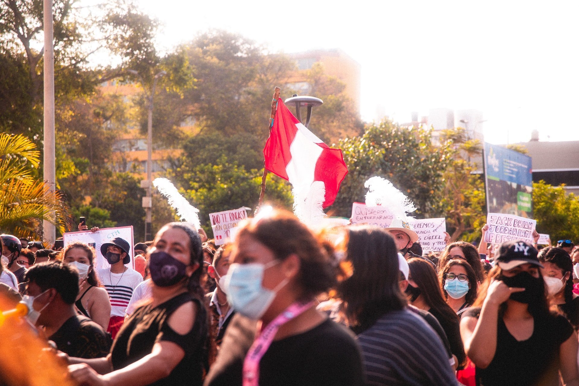 Граждане Перу вышли на улицы с требованием отставки президента Кастильо