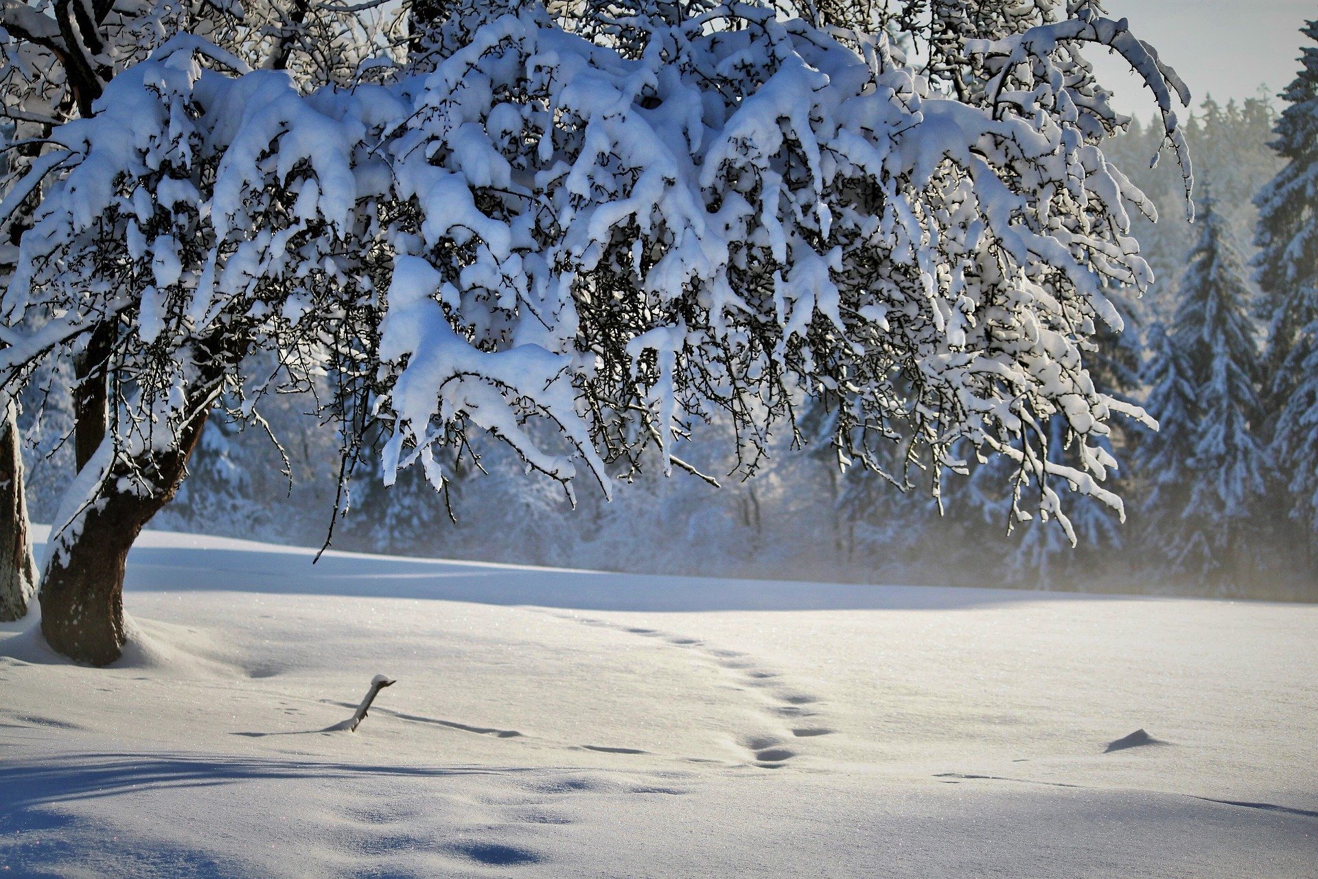 Небольшой снег и -6 градусов прогнозируется в Удмуртии 17 декабря