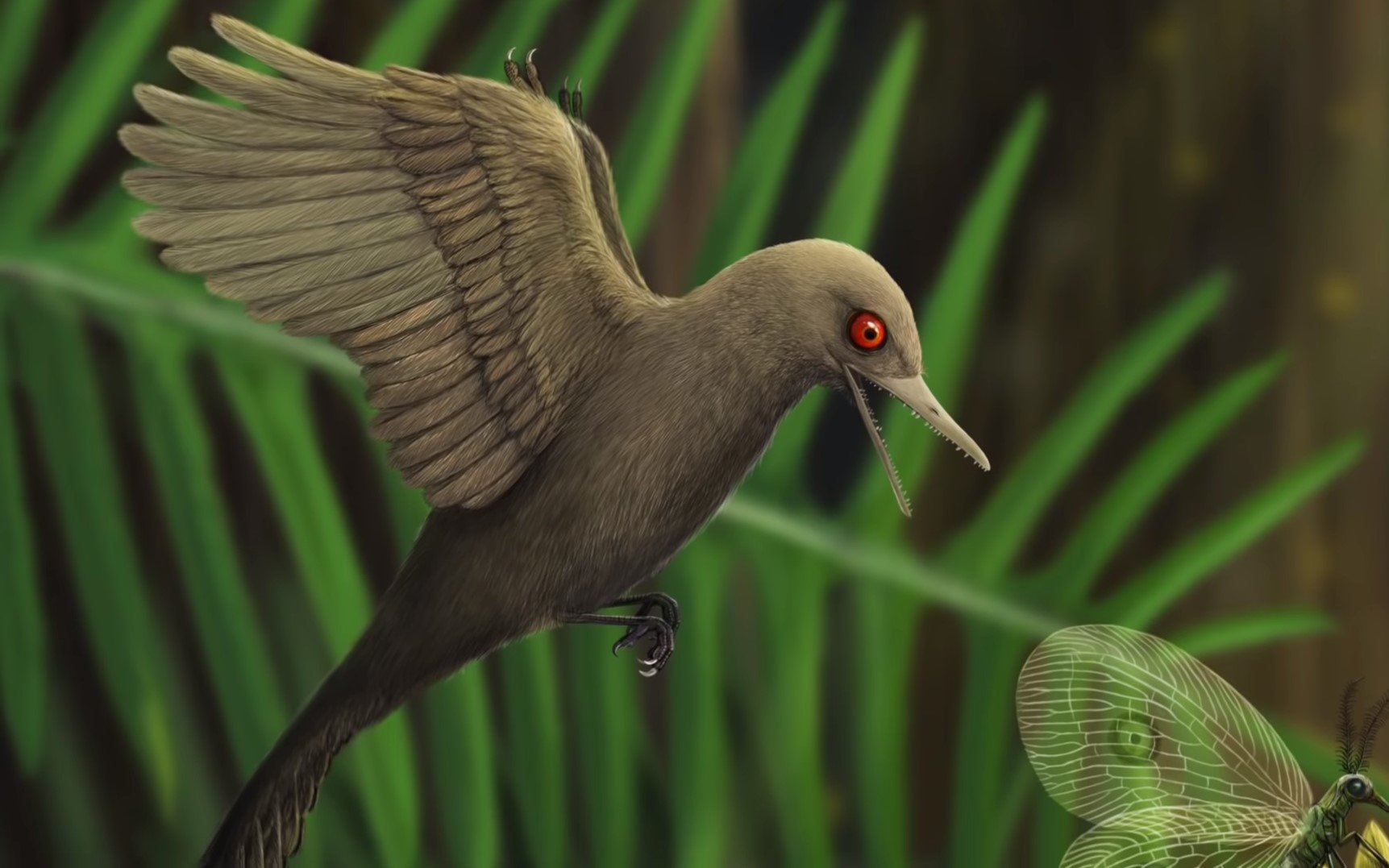 С колибри размером: ученые нашли самого маленького динозавра