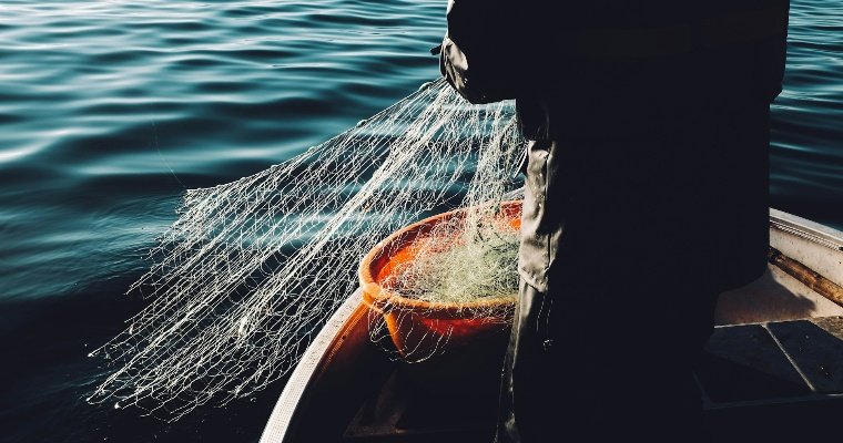 69 рыб незаконно выловил житель Удмуртии в период нереста 