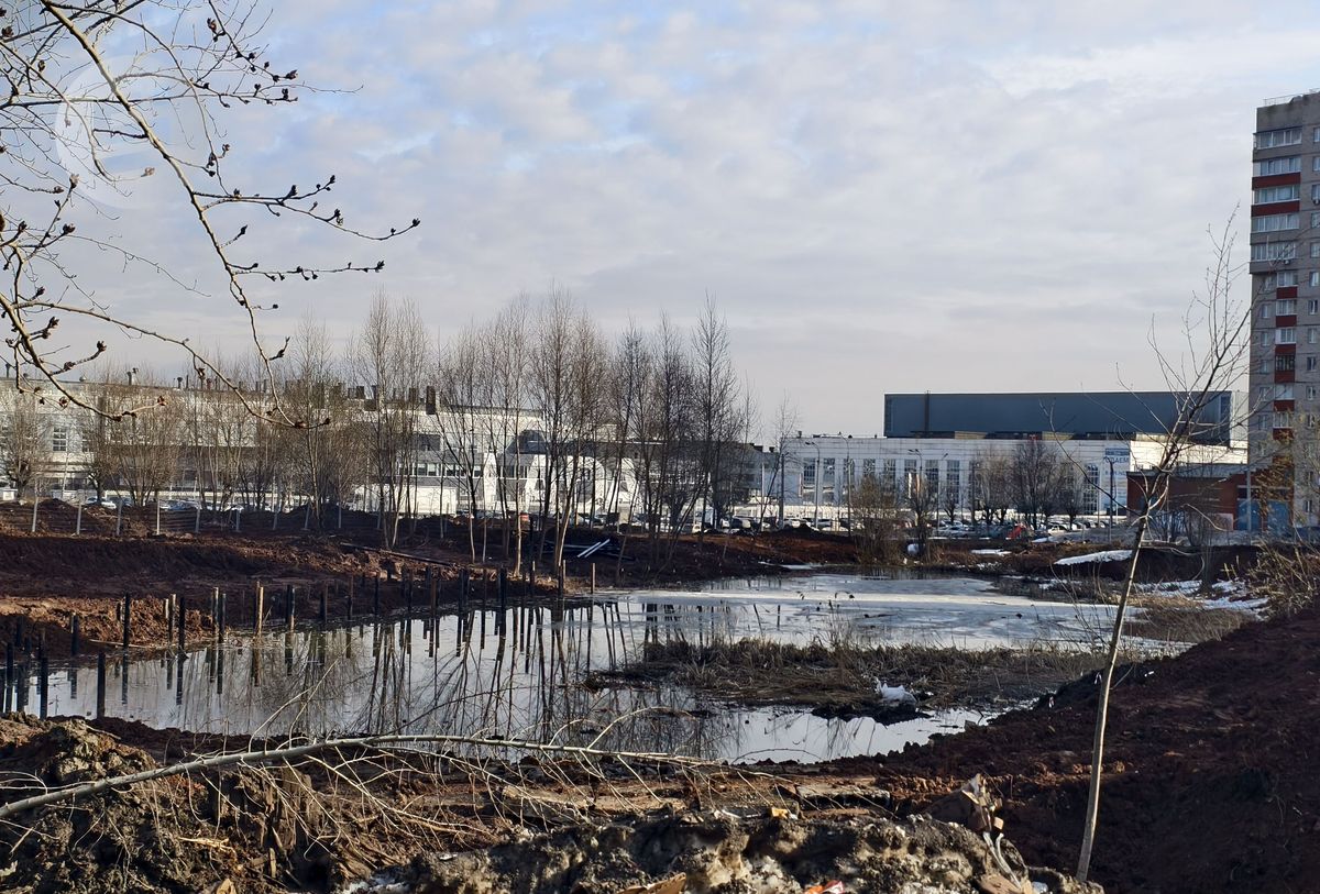 Дно пруда в ижевском Ива-парке расчищают от сваленного туда строительного мусора