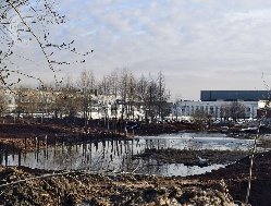 Дно пруда в ижевском «Ива-парке» расчищают от сваленного туда строительного мусора