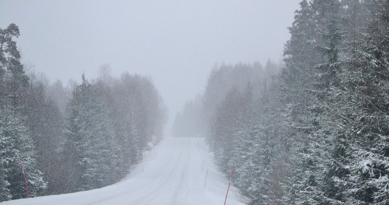 Жителей Удмуртии предупредили о сильном снегопаде и тумане