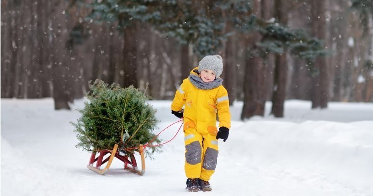 Жителям Удмуртии рассказали, что делать с новогодней елкой после праздников