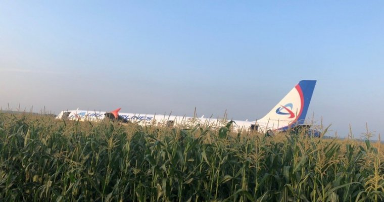 Четырех человек госпитализировали после жесткой посадки самолета в поле в Подмосковье