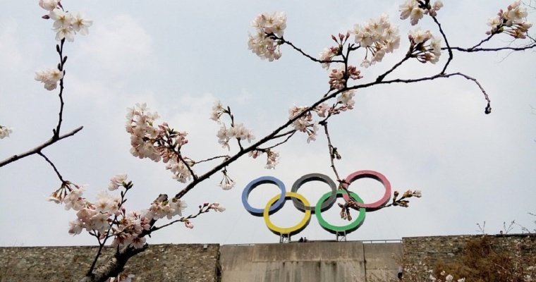 В Японии взяли под стражу экс-главу оргкомитета Олимпиады 