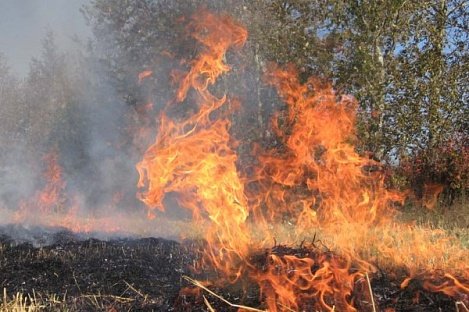 Удмуртия отличилась по лесным пожарам среди регионов Приволжья