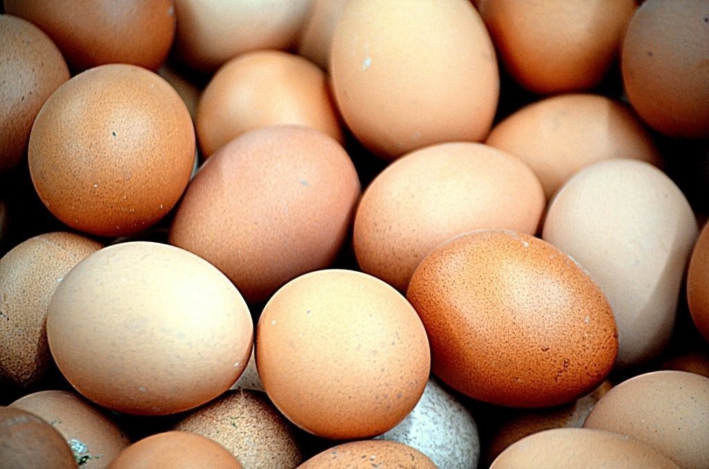 В Швеции с прилавков пропали куриные яйца