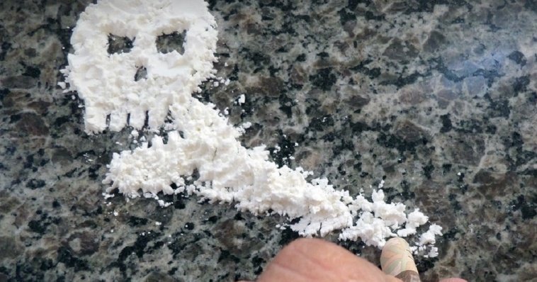 На границе с Белоруссией ФСБ перехватила почти полтонны кокаина 