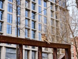 В четверг в Удмуртии ожидается до +14 градусов  