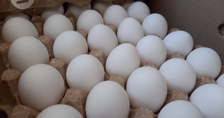 Самообеспеченность Удмуртии яйцом превысила 230%
