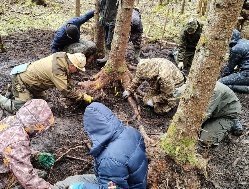 Поисковики Удмуртии обнаружили в Ленинградской области останки девяти красноармейцев