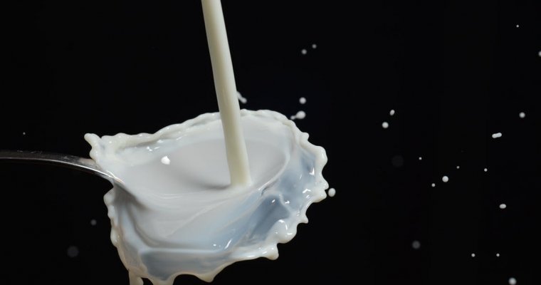 Россельхознадзор нашел опасные вещества в молоке Danone
