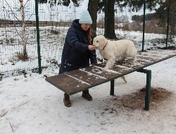 В Ижевске открыли еще две площадки для выгула собак