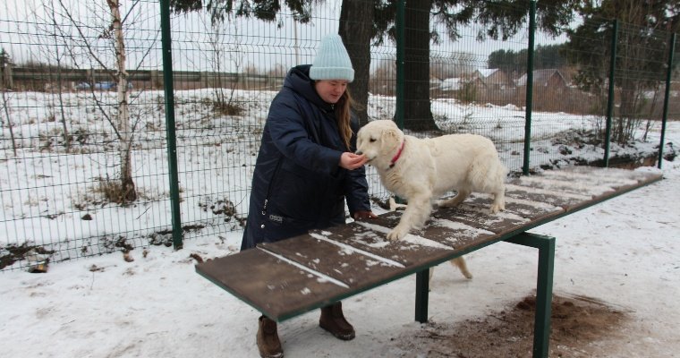 В Ижевске открыли еще две площадки для выгула собак