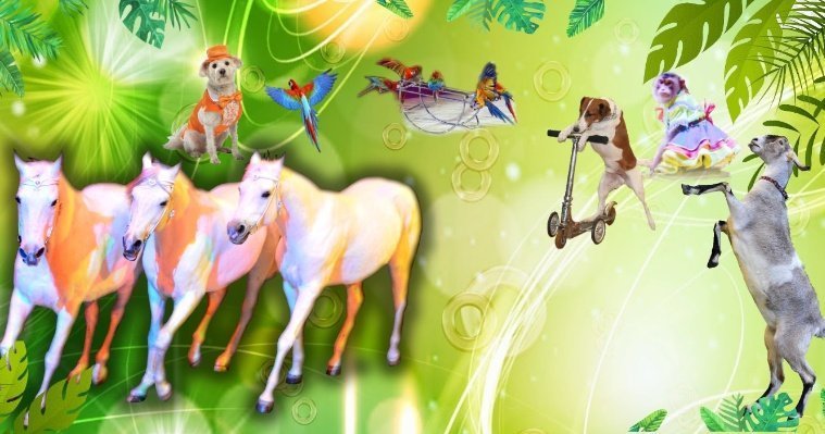 Мир животных: в Государственном цирке Удмуртии стартовала новая шоу-программа 