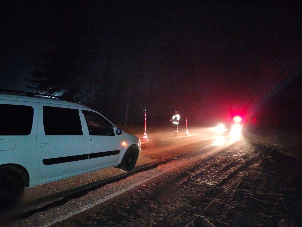 В Шарканском районе автомобиль насмерть сбил идущего в темноте мужчину