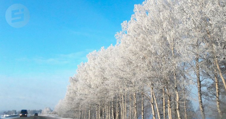 Первые дни весны в Удмуртии будут холодными
