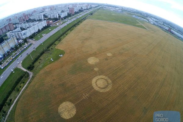Круги на полях неизвестного происхождения обнаружили в Тольятти