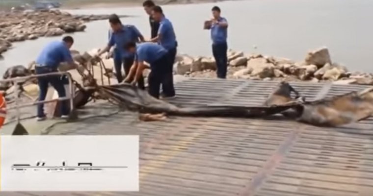 Китайцев напугал 18-метровый «водяной монстр»