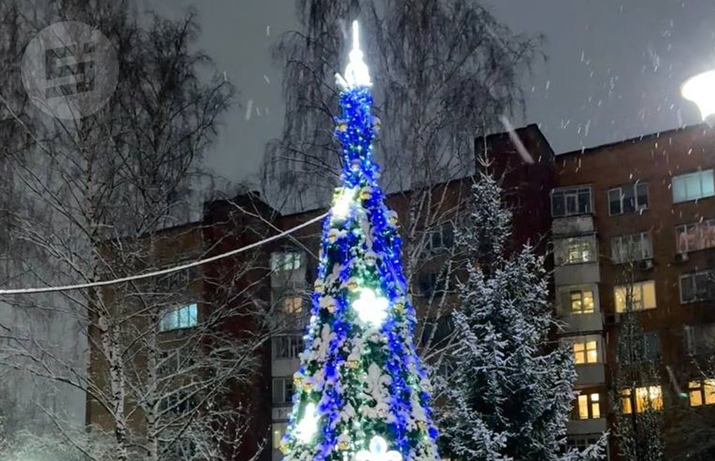 Новогодние ёлки появились во всех районах Ижевска