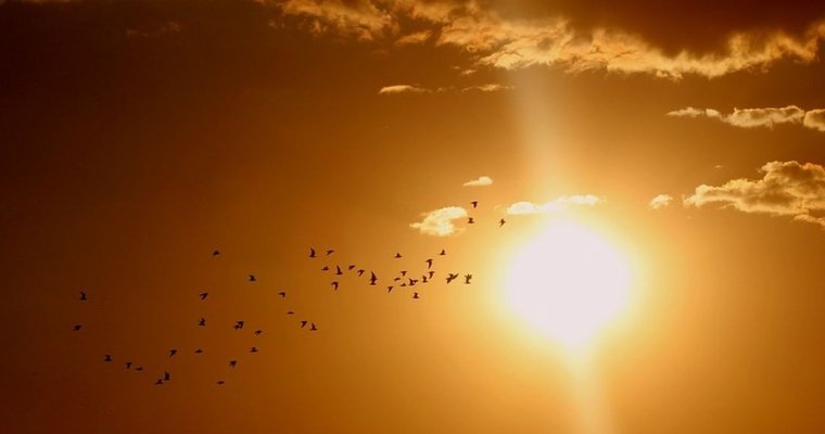 Немецкие ученые «зажгли» самое большое искусственное солнце