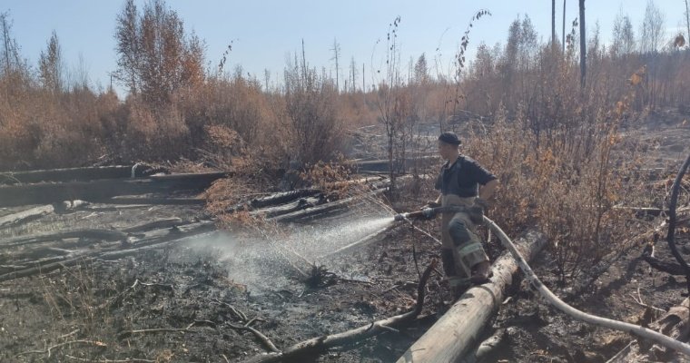 Итоги дня: противопожарный режим в Удмуртии и память о героях-лётчиках в Ижевске