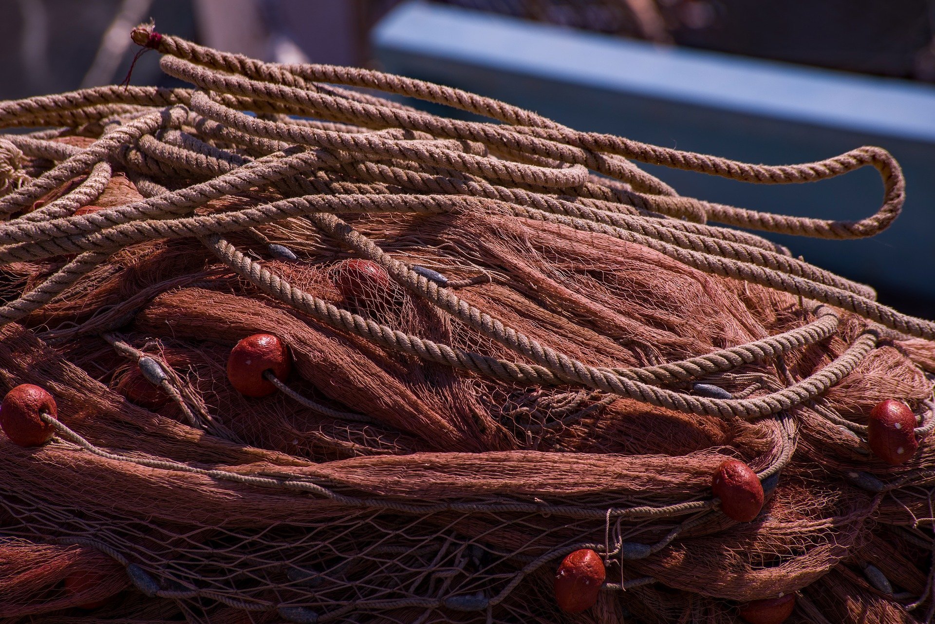 1,5 км незаконно установленных рыболовных сетей нашли на реке Каме в районе Сарапула