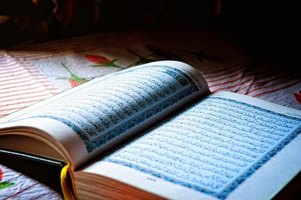 Халяль-сайты и халяль-поисковик создадут в Татарстане
