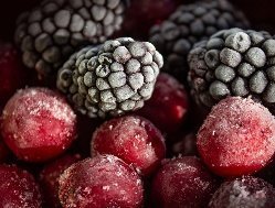 Жители Удмуртии могут передать животным зоопарка Ижевска замороженные ягоды 