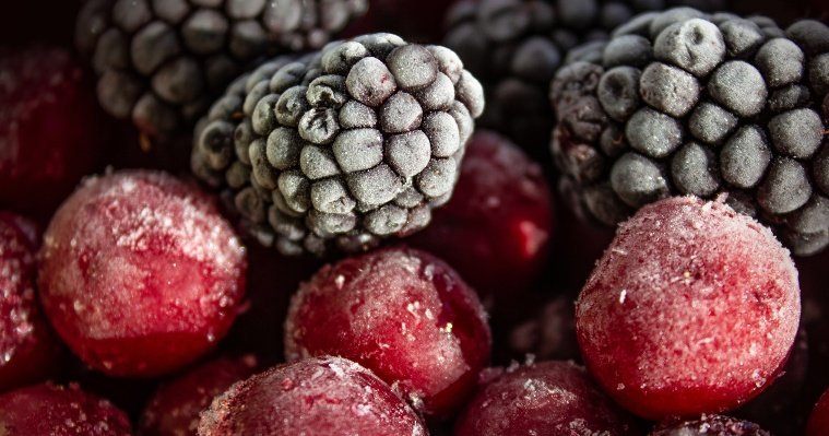 Жители Удмуртии могут передать животным зоопарка Ижевска замороженные ягоды 